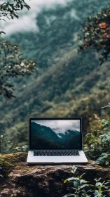 Laptop on mossy rock invites calm forest daydreaming.