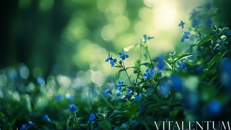 Blue Wildflowers Bloom Against Luminous Green Bokeh Background.