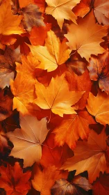 Orange and brown autumn maple leaves in dense pattern.