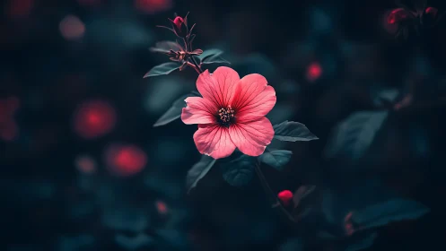 Coral Pink Blossom Against Teal Bokeh Composition.