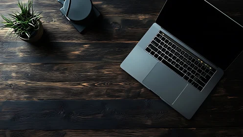 Quiet midnight workspace with steel laptop and potted green calm.