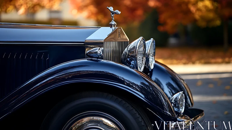 Autumn-lit vintage Rolls-Royce front architecture, chrome focus.