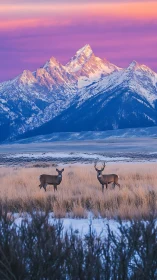 Twilight deer beneath rose lit peaks in a winter valley hush.