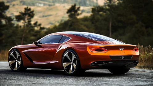 Orange luxury sports coupe parked on rural asphalt road