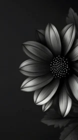 Black and white flower rendered with detailed petal structure