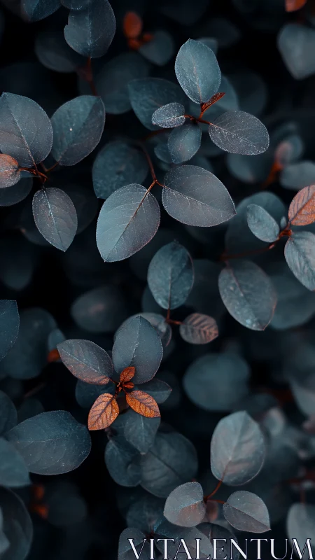 Teal foliage with copper highlights under soft bokeh light