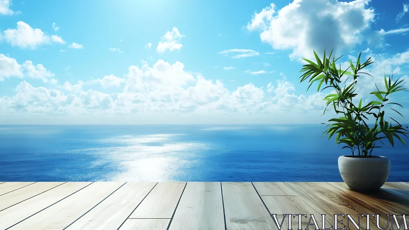 Potted plant on wooden deck overlooking calm ocean horizon.