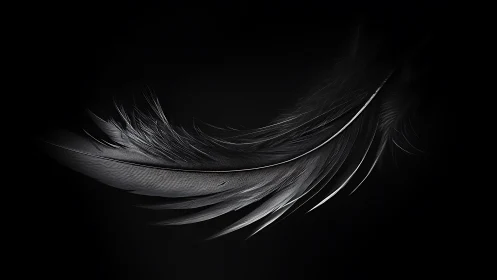 Whispering silver feather adrift in nocturne silence.