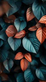 Teal and copper foliage pattern with shallow depth of field.