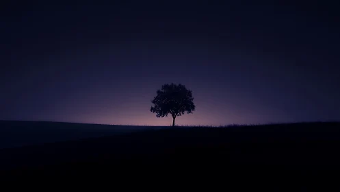 Single tree stands on horizon against low diffuse backlight