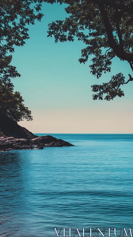 Gentle cove of turquoise waters beneath leafy silhouettes.