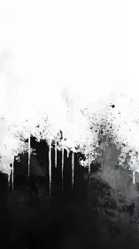 Black and white abstract ink splatter divides the canvas clearly