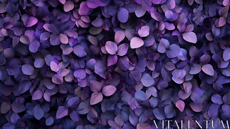 Vibrant violet foliage forms an enchanting, immersive backdrop