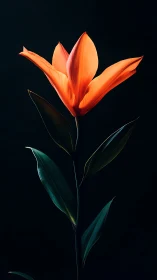 Vibrant Orange Bloom Against Darkness.
