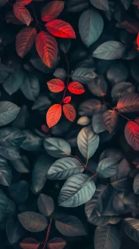 Chromatic leaf canopy under cinematic shallow depth of field.