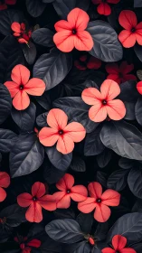 Coral Blooms Against Deep Foliage. Nature's Contrast