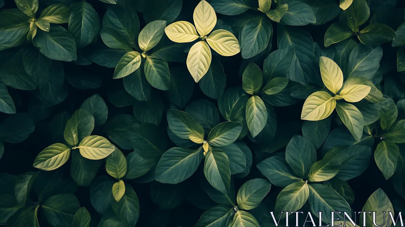 Lustrous green foliage pattern with luminous leaf accents.