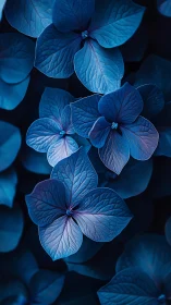 Azure Hydrangea Petals Glowing in Moonlit Darkness.