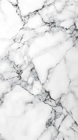 Minimal white marble slab with organic veining structure.