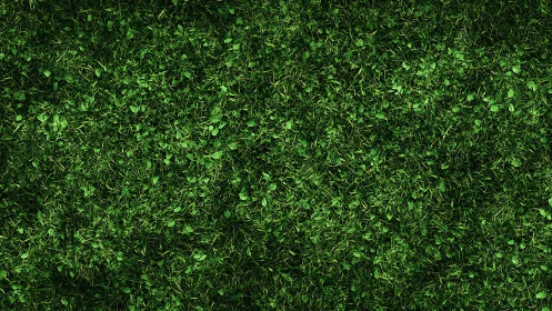 Lush green ground cover invites a calm, natural pause