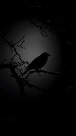 Solitary Bird Perched on Bare Branches in Moonlit Silhouette