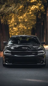 Black muscle car framed by autumn trees in soft focus.