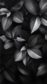 Monochrome closeup of overlapping textured leaves.