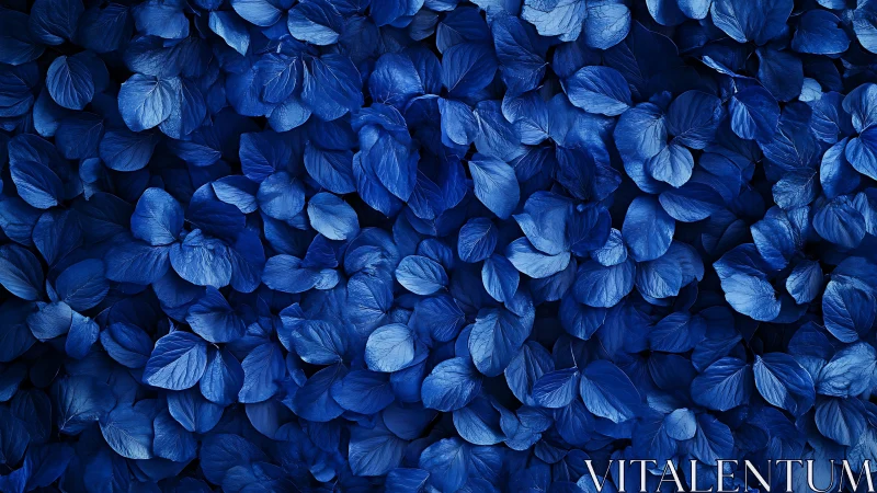 Dense pattern of vivid blue flower petals in closeup.