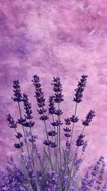 Lavender Dreams in Soft Pink Light.