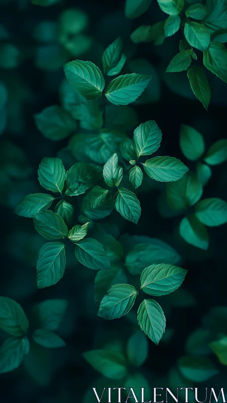 Quiet emerald leaves drifting in a soft forest hush.