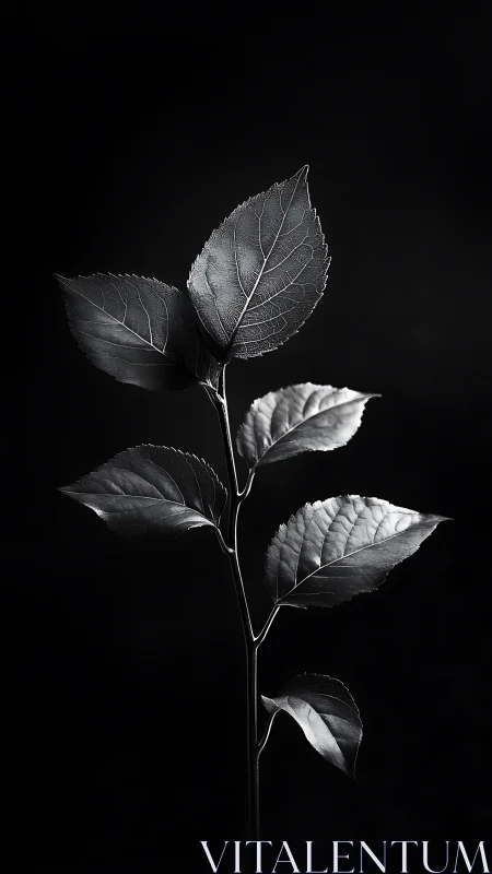Silver-veined leaves rehearse moonlit geometry in silence