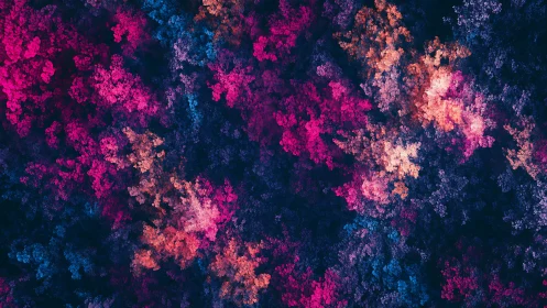 Nebula blossoms collide in a lush digital night garden