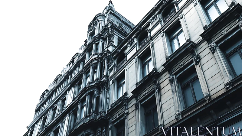 Monochrome façade study isolates ornate neoclassical geometry