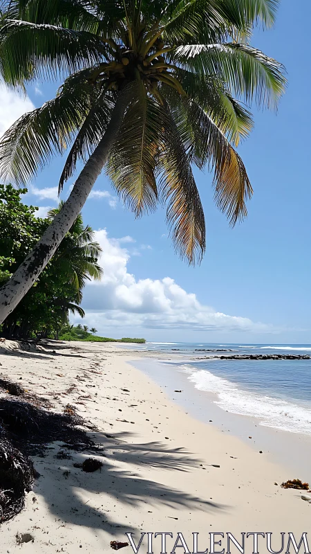 Tropical Palm Beach Paradise Landscape