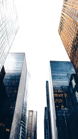 Glass skyscrapers converge into bright urban skyline void.