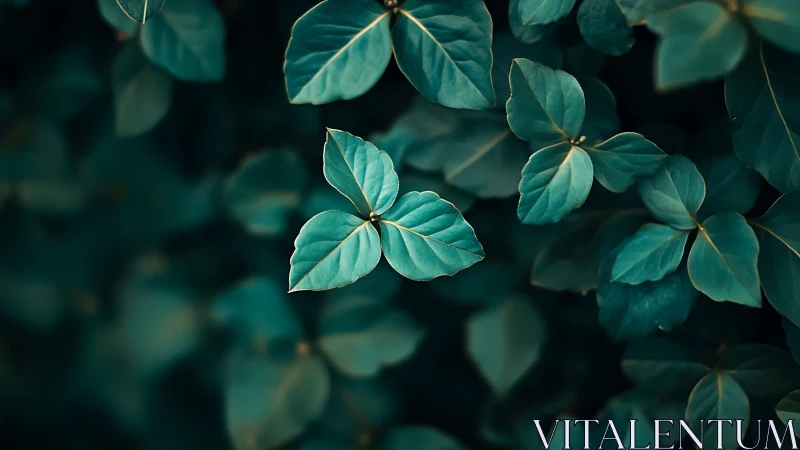 Central teal foliage rendered with shallow depth of field focus