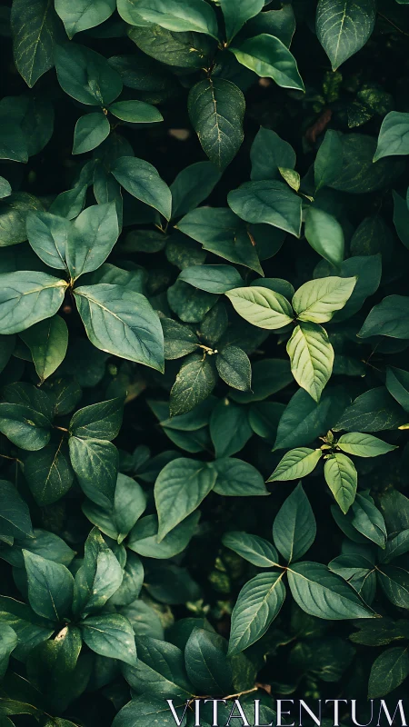 Rebel lime leaf glows inside a deep emerald jungle wall.