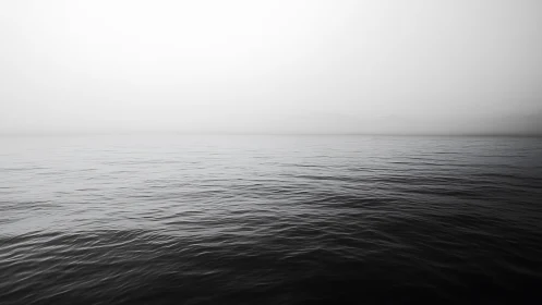 Silent monochrome sea dissolving into pale horizon mist.