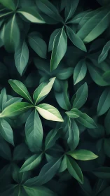 Soft forest leaves in gentle green light inviting calm.