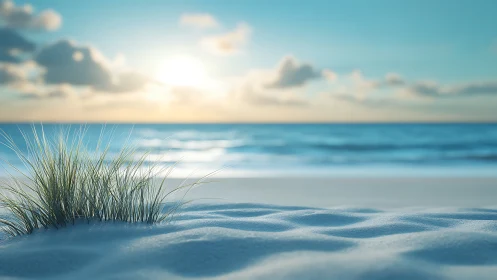 Coastal dune grass on soft sand at calm ocean sunrise.