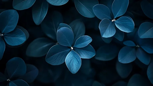 Blue-toned leaves form layered radial clusters in soft focus