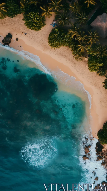 Tropical Paradise: Pristine Beach Meets Crystal Turquoise Waters