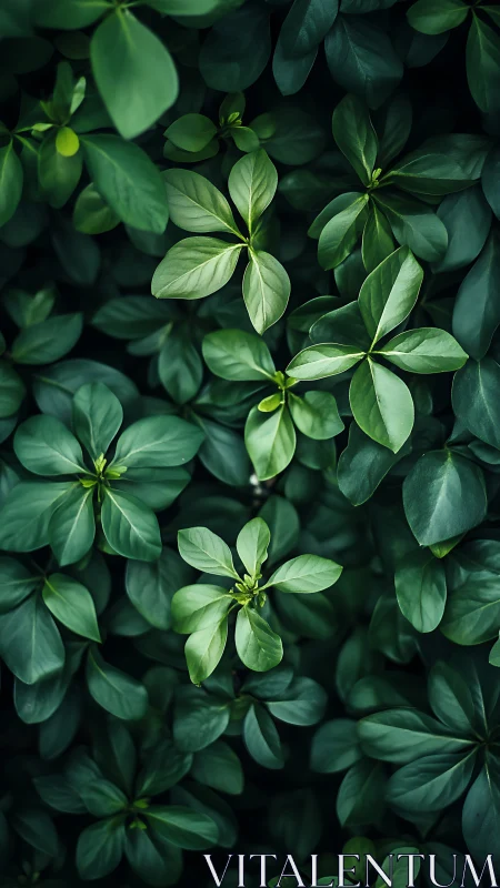 Lush green foliage pattern with layered glossy leaves.