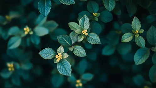 Emerald leaf clusters cradle tiny golden forest sparks.