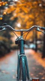 Bicycle Handlebar Against Autumn Foliage Path.