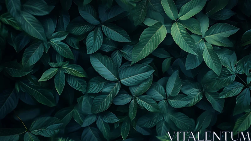 Midnight leaf chorus in deep emerald hush.