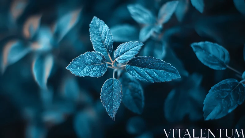 Close-up foliage in cool blue tones with shallow focus.