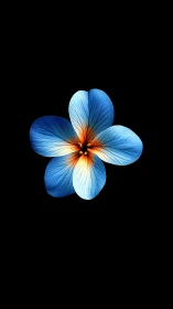 Azure Blossom Radiates Warmth Against Endless Night.