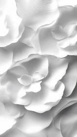 Soft white petals drift together in a gentle sculpted bloom