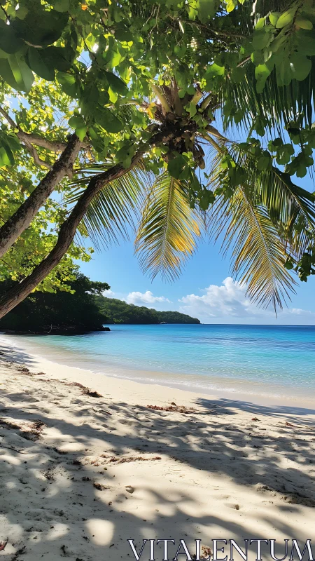 Tropical Beach Paradise Under Palm Fronds.